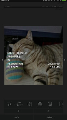 SKRWT4