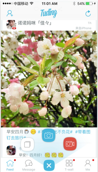 图钉1
