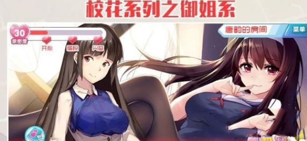 爱妹恋爱2