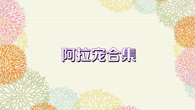 阿拉宠合集