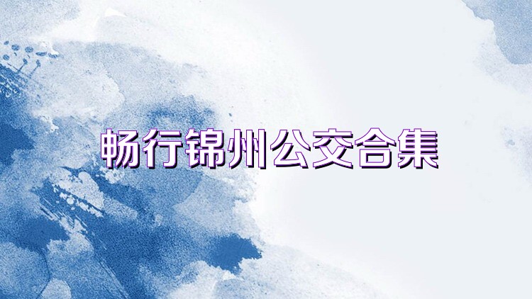 畅行锦州公交合集
