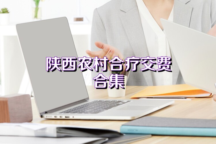 陕西农村合疗交费合集