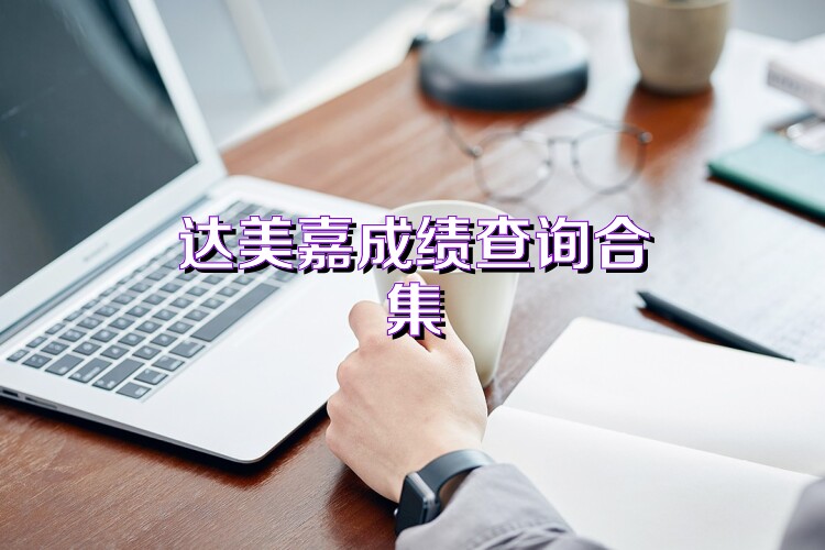 达美嘉成绩查询合集