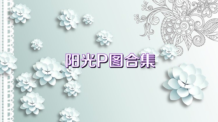 阳光P图合集