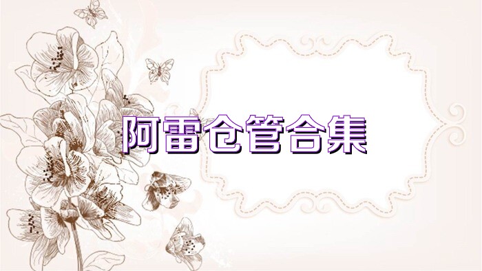 阿雷仓管合集