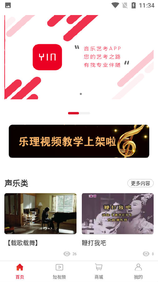 善国音乐艺考中文版2