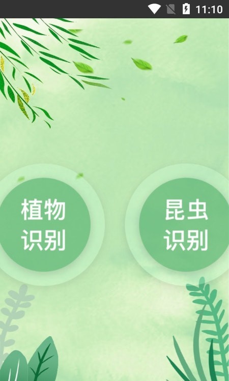 一叶识木1
