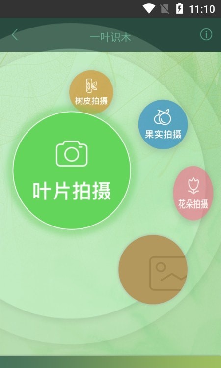 一叶识木3