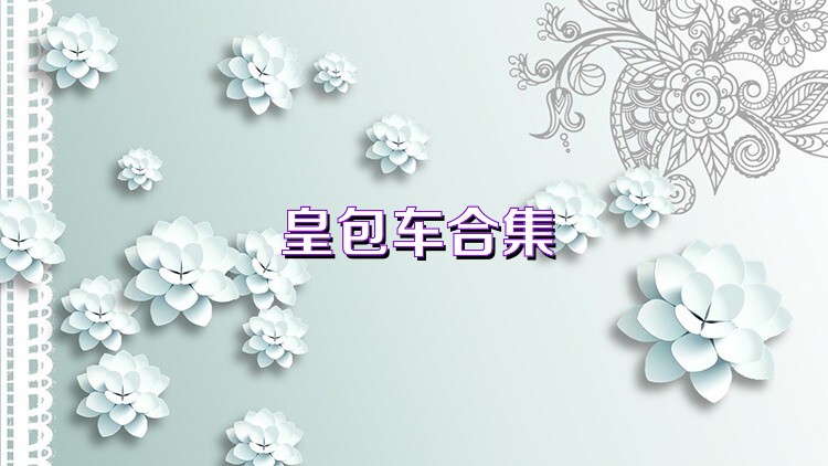 皇包车合集