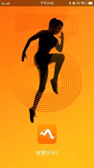 Smart Wristband 33