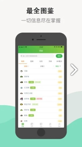 动森助手4