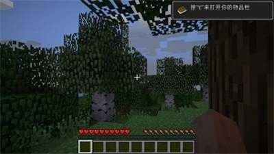 我的世界野外生存模组2