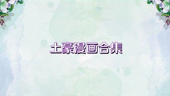 土豪漫画合集