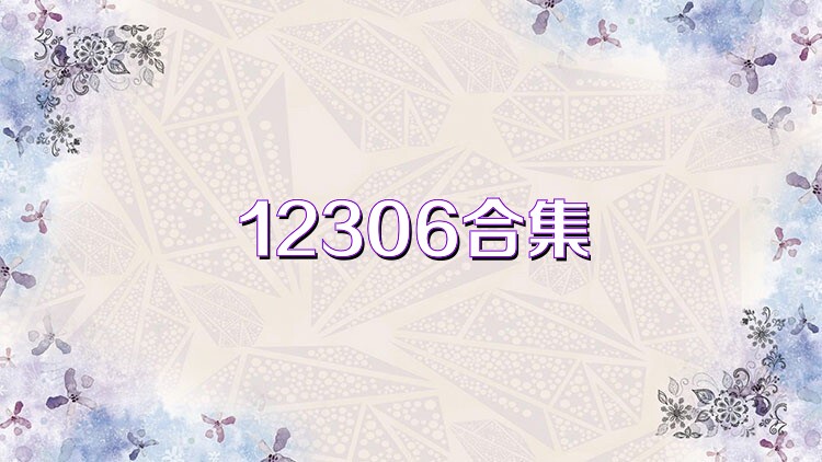 12306合集