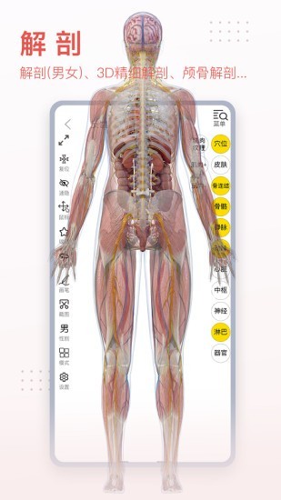 3Dbody艺用3
