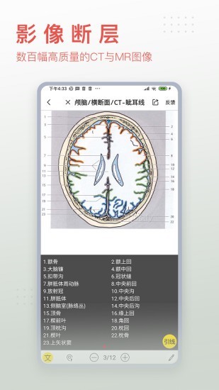 3Dbody艺用4