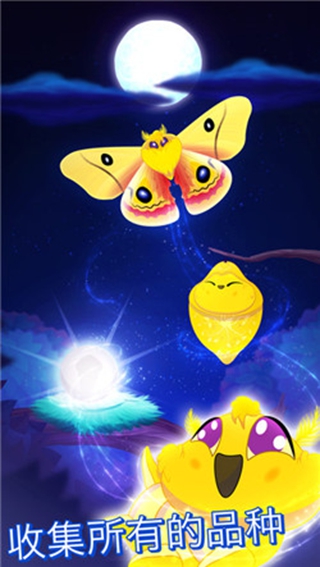 彩翼之星夜2