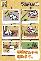 收集猫猫2