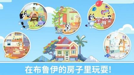 布鲁伊一起玩吧1