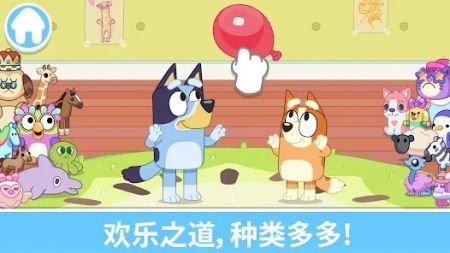 布鲁伊一起玩吧5