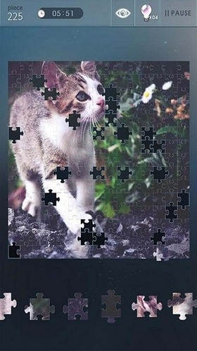 益智拼图世界2