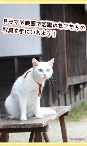 与玉之丞一起4