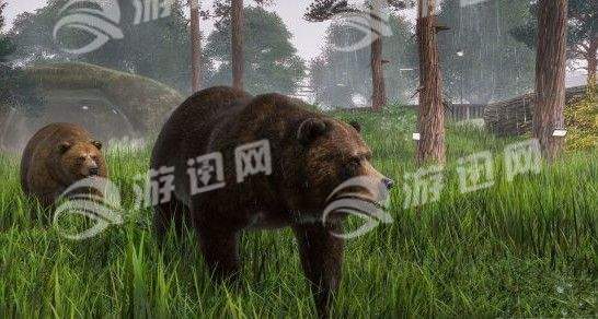 动物园之星免费中文版1