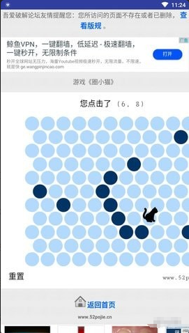 圈小猫1