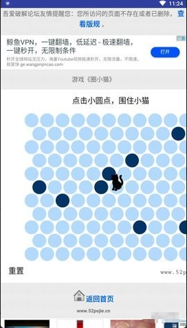 圈小猫4