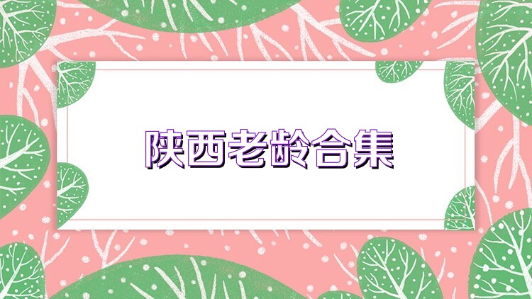 陕西老龄合集