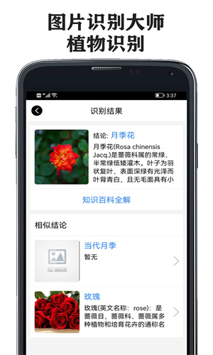 图片识别大师2