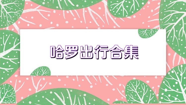 哈罗出行合集