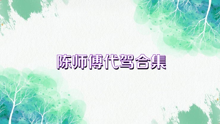 陈师傅代驾合集