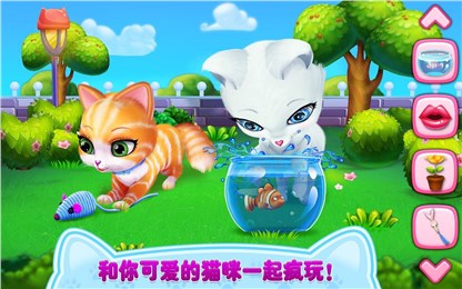我的喵星朋友4