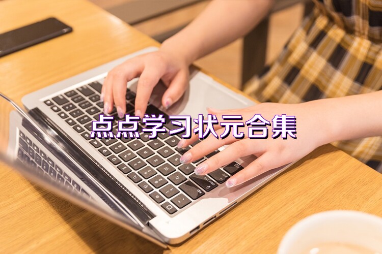 点点学习状元合集