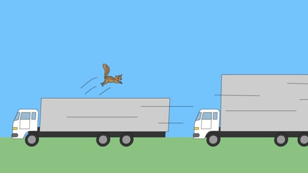 猫跨栏4