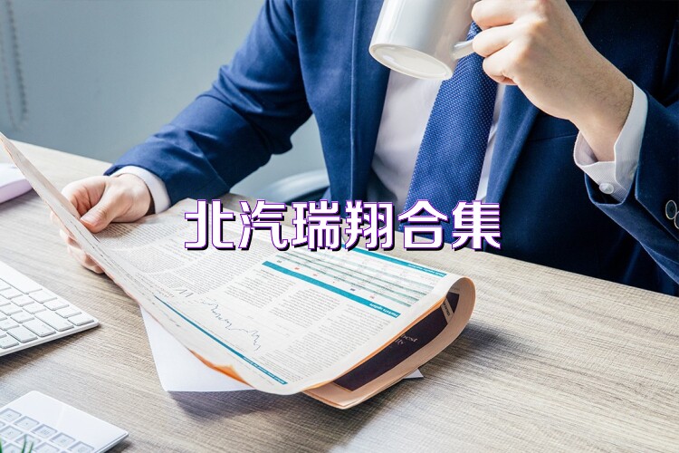 北汽瑞翔合集
