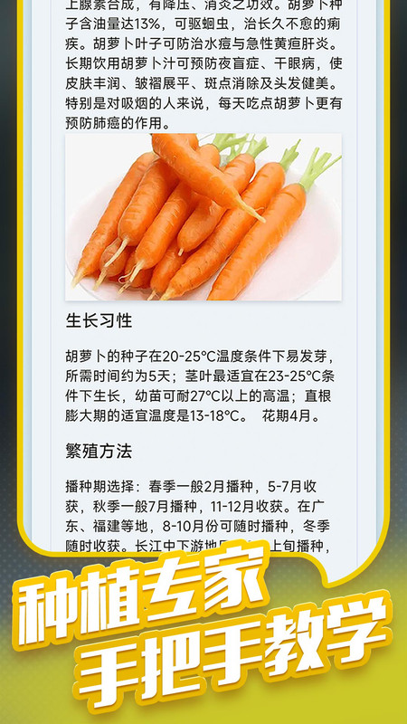 种菜专业户2