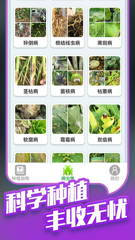 种菜专业户3
