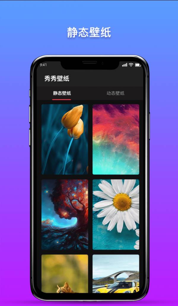 秀秀壁纸1