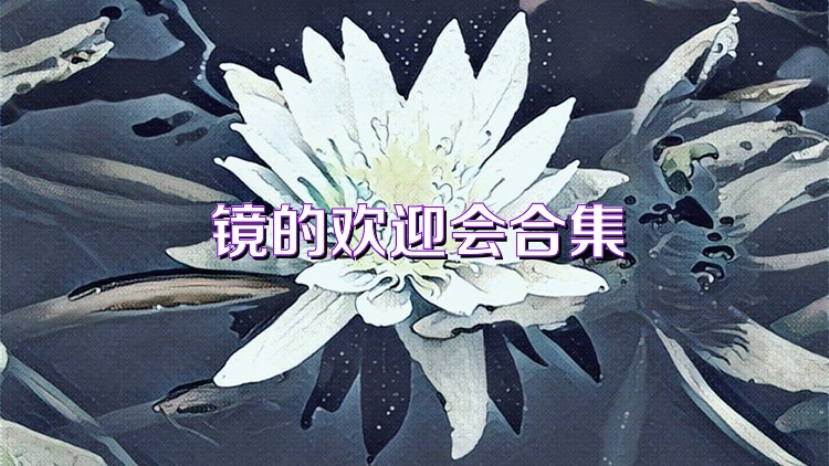 镜的欢迎会合集