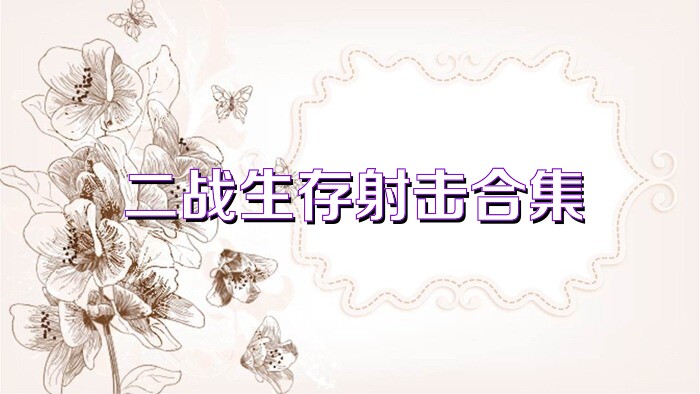 二战生存射击合集