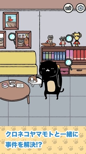熊猫狗和猫1