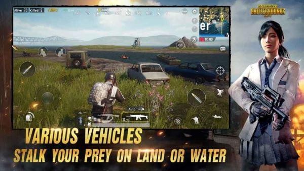 PUBG Mobile LITE1