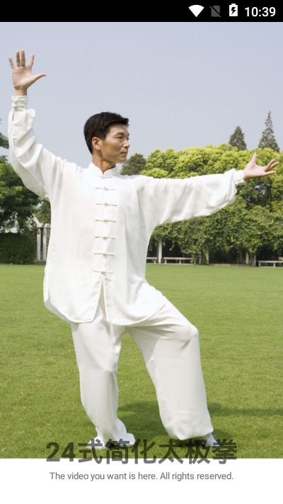 24式简化太极拳3
