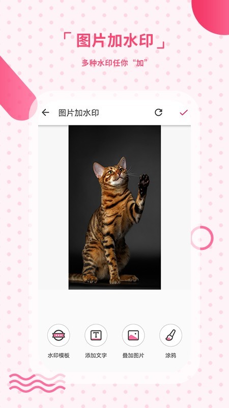 去水印相机4