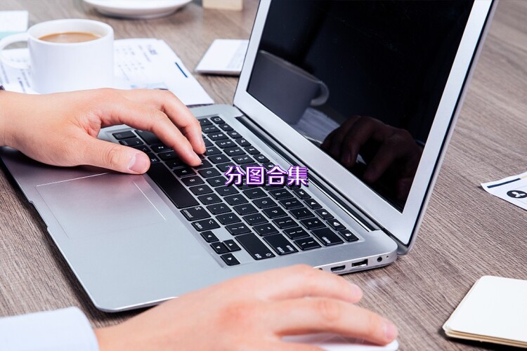 分图合集