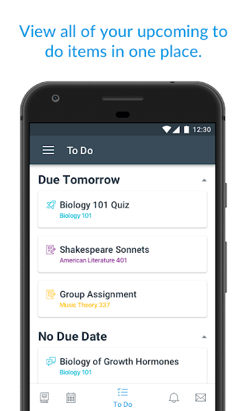 CanvasStudent3