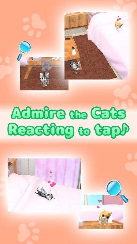 猫是液体3