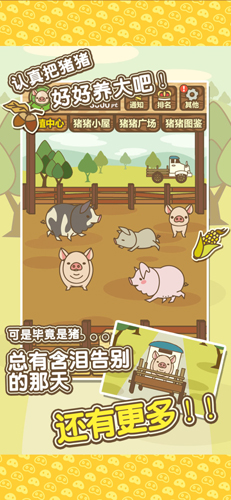 养猪场MIX汉化版2